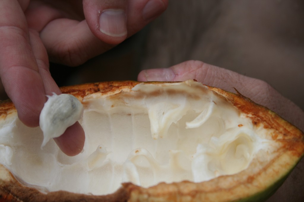 How we make chocolate omanhene cocoa bean company